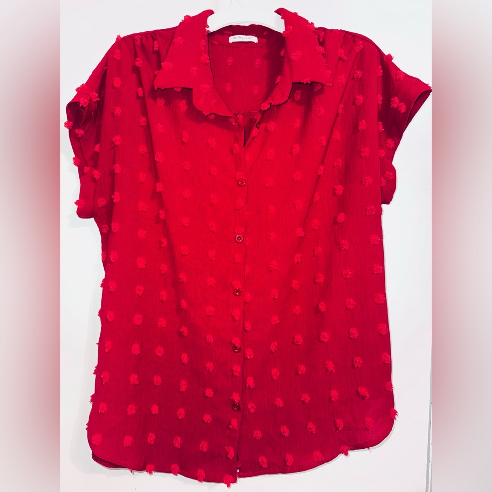 Bothenial Shirt Womens XL Burgundy Textured Swiss Dot Button Up Blouse